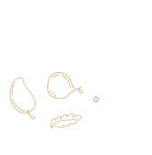 Vectors